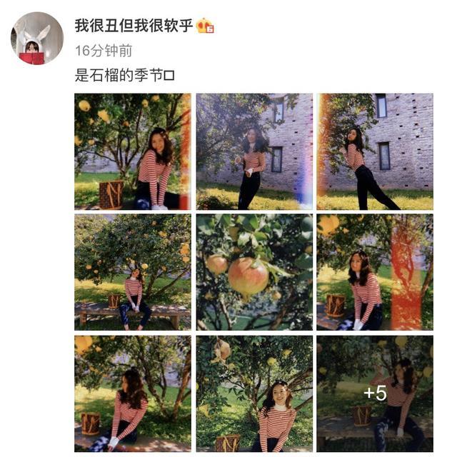 张子萱|张子萱石榴树下拍写真，嘟嘴卖萌凹造型，青春靓丽如花季少女