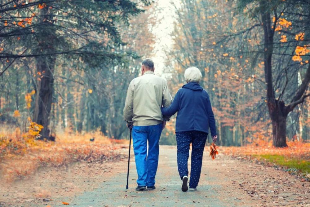 楢山节考|别让父母在你面前，活得小心翼翼