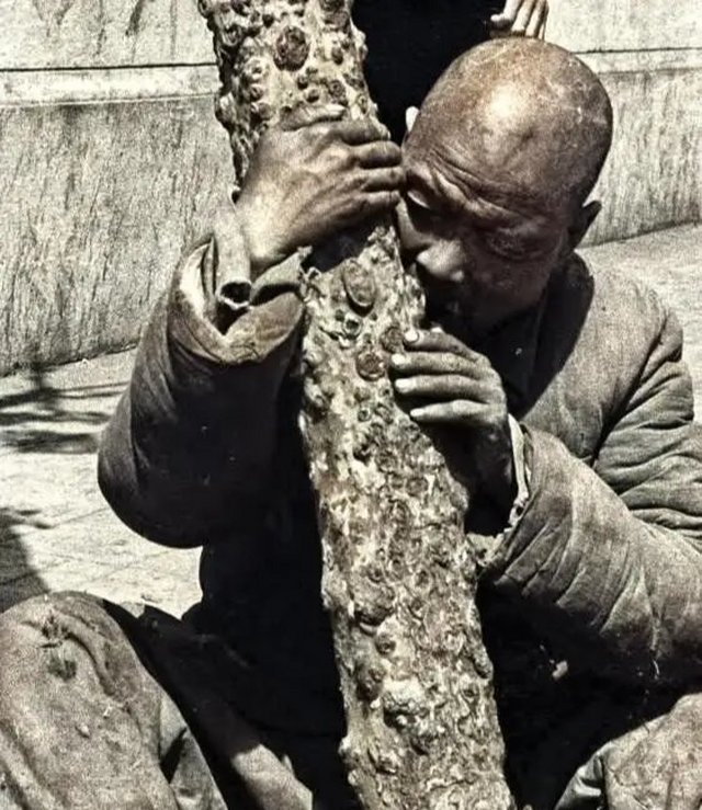 1942年河南大饥荒有多饿没饭吃啃树皮