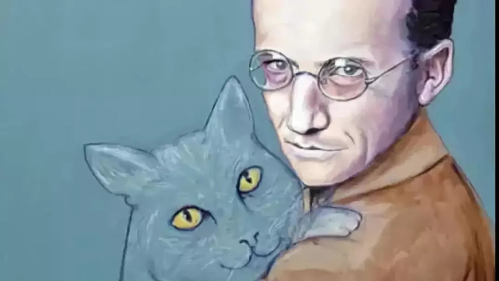 薛定谔的猫|为什么不抓一只猫去做薛定谔的猫实验？