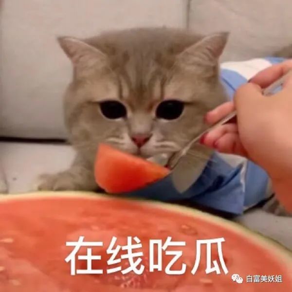 维都|诈骗60亿成京城名媛，圈300W粉继续割韭菜，手段够高…