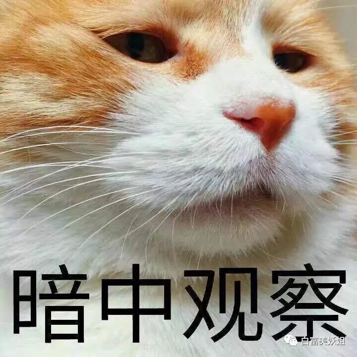 维都|诈骗60亿成京城名媛，圈300W粉继续割韭菜，手段够高…