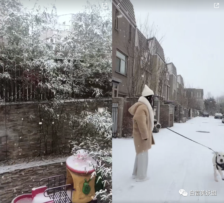 维都|诈骗60亿成京城名媛，圈300W粉继续割韭菜，手段够高…