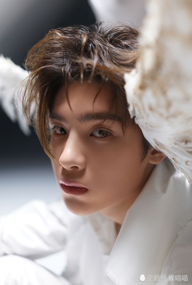 蔡徐坤|蔡徐坤、黄明昊快本抱团，维嘉“不满”喊话，提醒NPC已解散