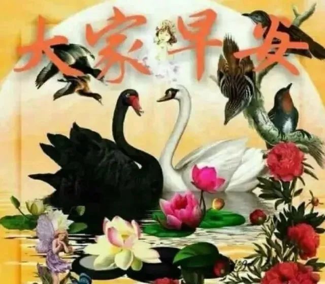 早晨好漂亮早上问候图片鲜花带字早上好快乐问候祝福短信大全 好心情 鲜花 祝福短信