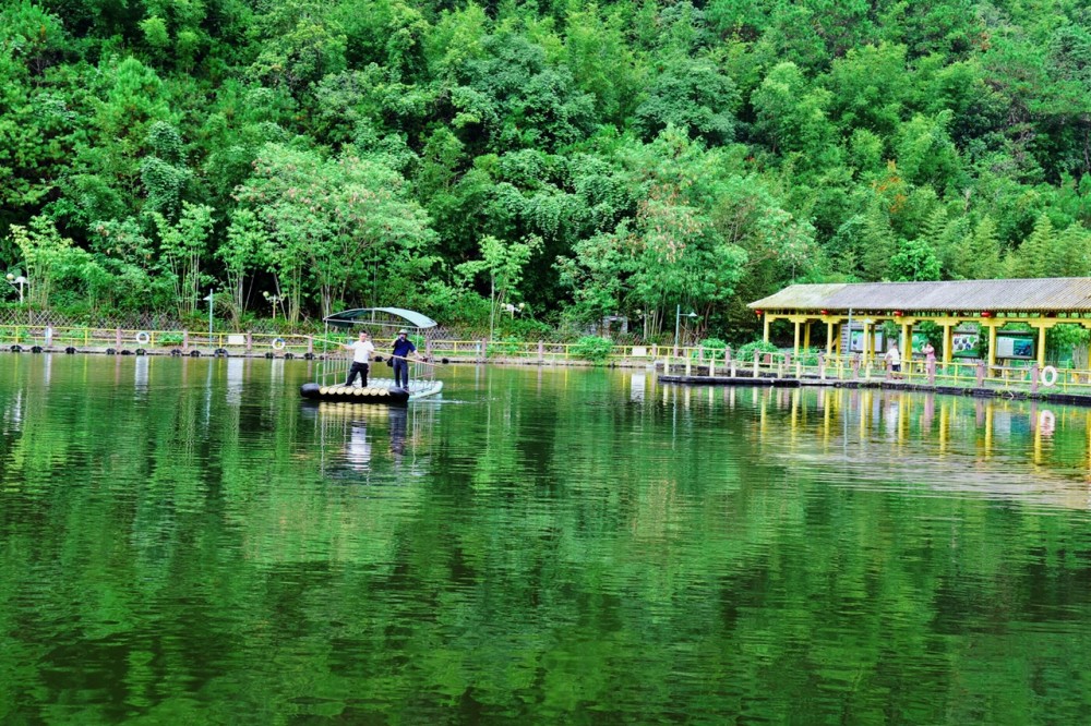 有兩千多年的歷史,還有中國最大的竹子主題景區——廣寧竹海大觀旅遊