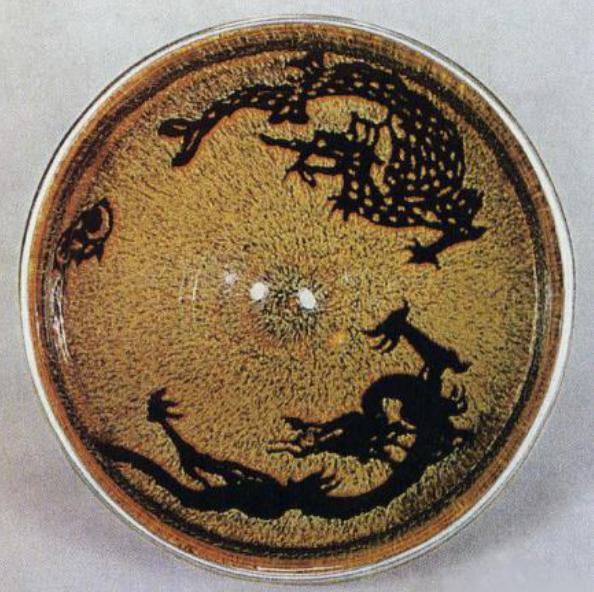 瓷器|吉州窑几大名品全解