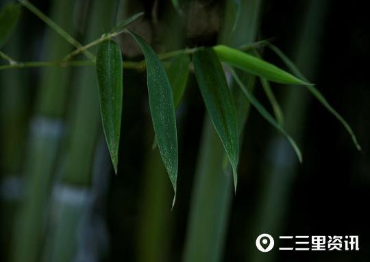 摄影师|铜川摄影师协会作品锦集：初秋蓝天似画、可爱的小精灵……