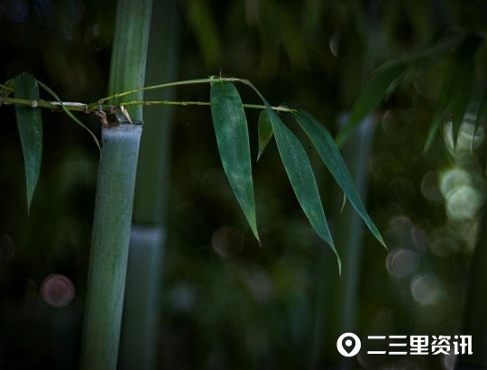 摄影师|铜川摄影师协会作品锦集：初秋蓝天似画、可爱的小精灵……