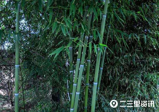 摄影师|铜川摄影师协会作品锦集：初秋蓝天似画、可爱的小精灵……