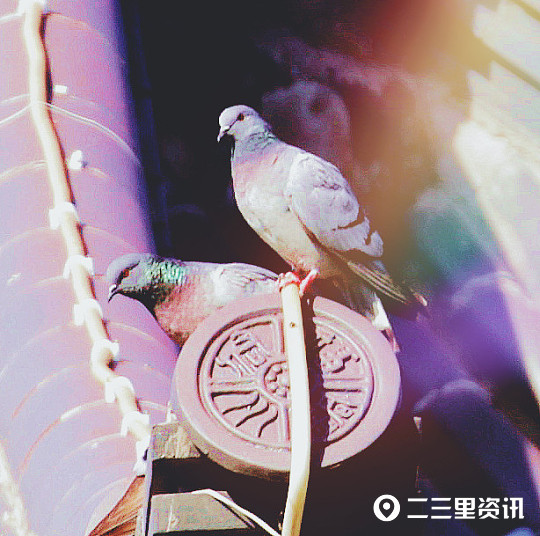 摄影师|铜川摄影师协会作品锦集：初秋蓝天似画、可爱的小精灵……