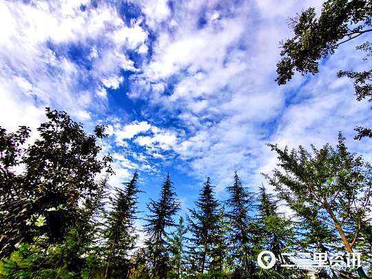 摄影师|铜川摄影师协会作品锦集：初秋蓝天似画、可爱的小精灵……