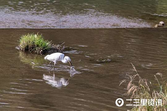 摄影师|铜川摄影师协会作品锦集：初秋蓝天似画、可爱的小精灵……