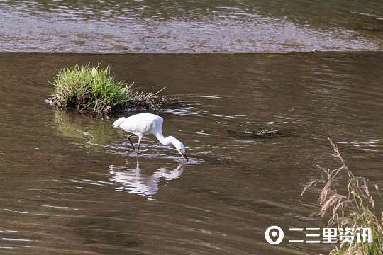 摄影师|铜川摄影师协会作品锦集：初秋蓝天似画、可爱的小精灵……