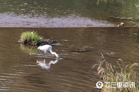 摄影师|铜川摄影师协会作品锦集：初秋蓝天似画、可爱的小精灵……