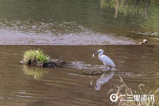 摄影师|铜川摄影师协会作品锦集：初秋蓝天似画、可爱的小精灵……