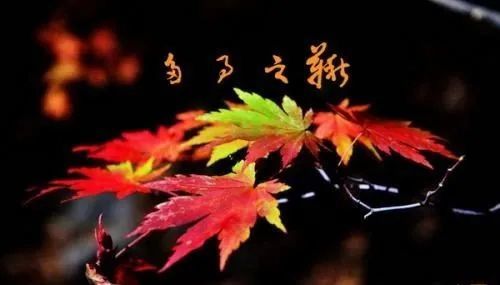 高发|秋季是这7种疾病的高发时节，如何预防“多病之秋“？