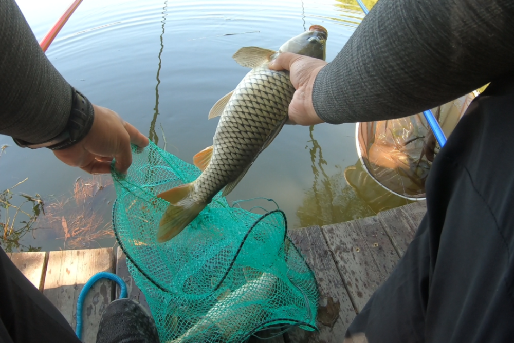 海钓暴连,台钓爆护,赶海遛娃!十一环京游,钓鱼人来这准没错