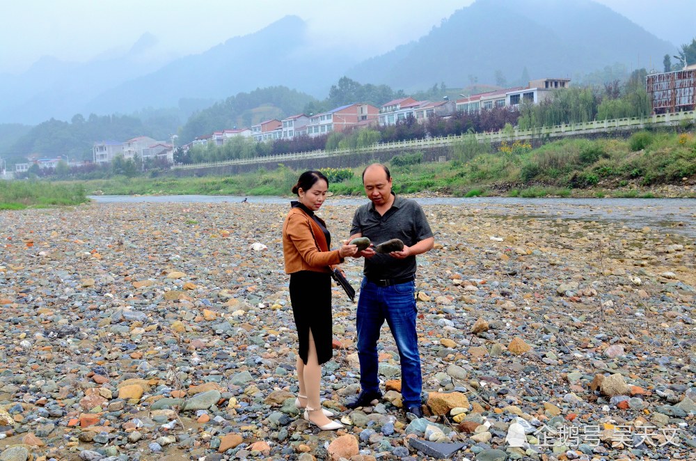 石头画|陕南这位美女“草根艺术家”在石头上作画100多幅半数以上被人高价收藏