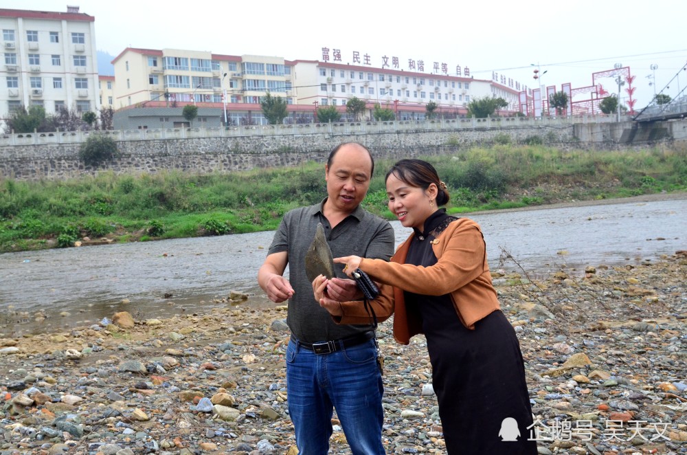 石头画|陕南这位美女“草根艺术家”在石头上作画100多幅半数以上被人高价收藏