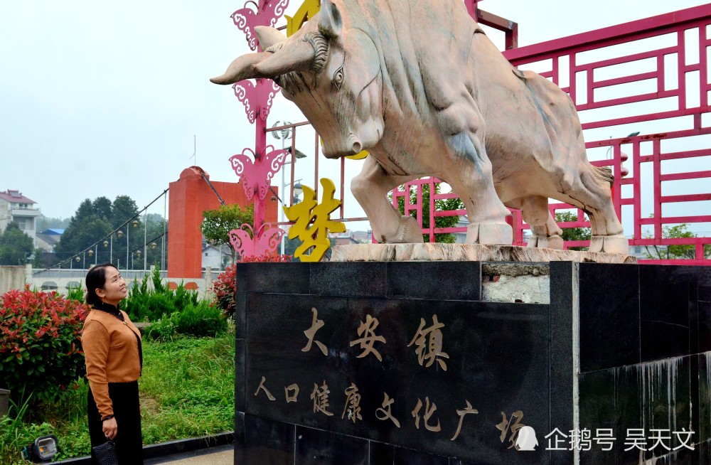 石头画|陕南这位美女“草根艺术家”在石头上作画100多幅半数以上被人高价收藏