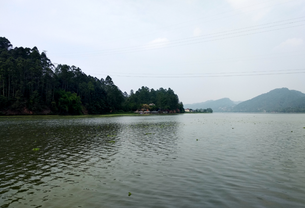 苏轼|【方志四川 历史文化】郑光福‖苏轼深爱的美女王弗