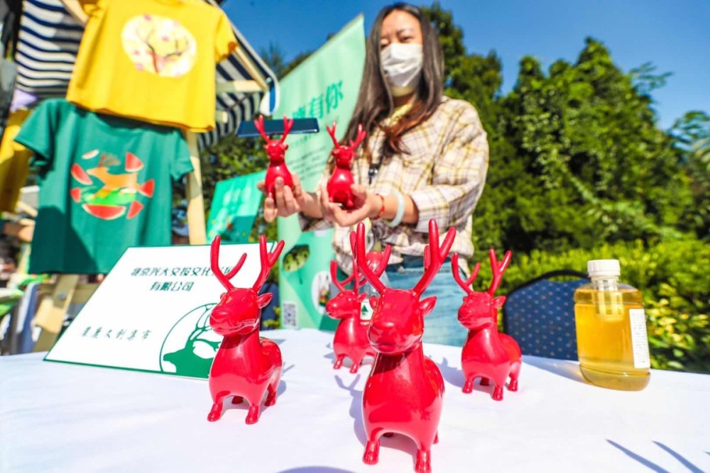 大兴区|紫禁瑞鹿！回归35周年，大兴“麋鹿”年底要“入宫”