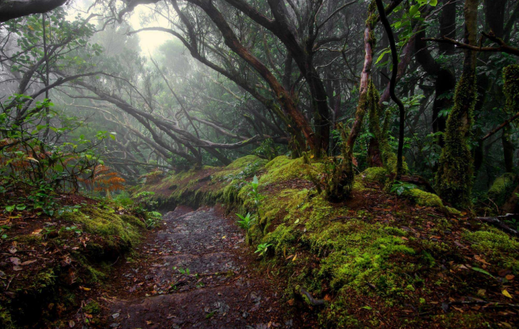 常建|二流诗人在寺庙墙上写首诗，通篇大白话，让此庙火了1200多年