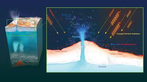地球|人类未来的4大殖民星？火星已在路上，其他三个与地球也颇为相似