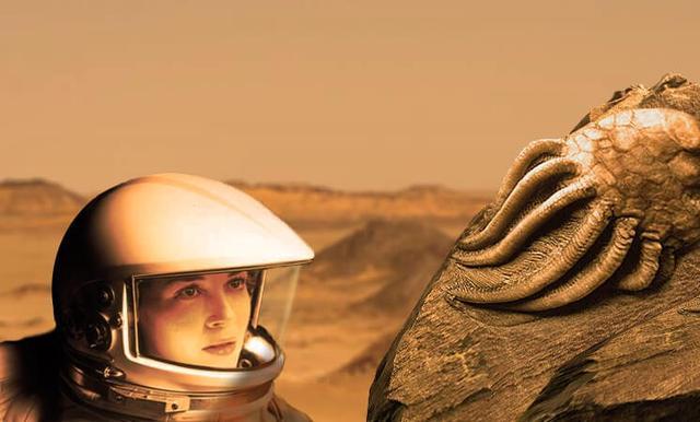 地球|人类未来的4大殖民星？火星已在路上，其他三个与地球也颇为相似