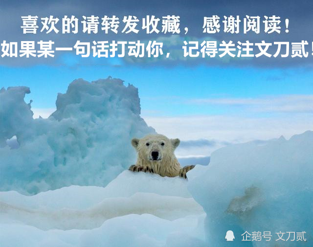 张纪中|原来，杜星霖嫁给张纪中是嫁给了爱情！