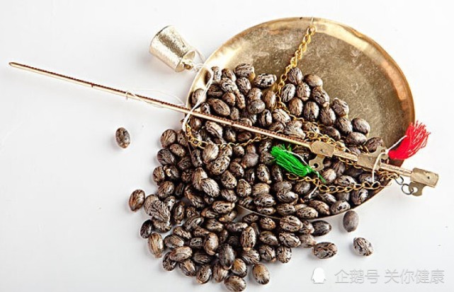 1克可以毒死400人蓖麻毒素再度引发紧张