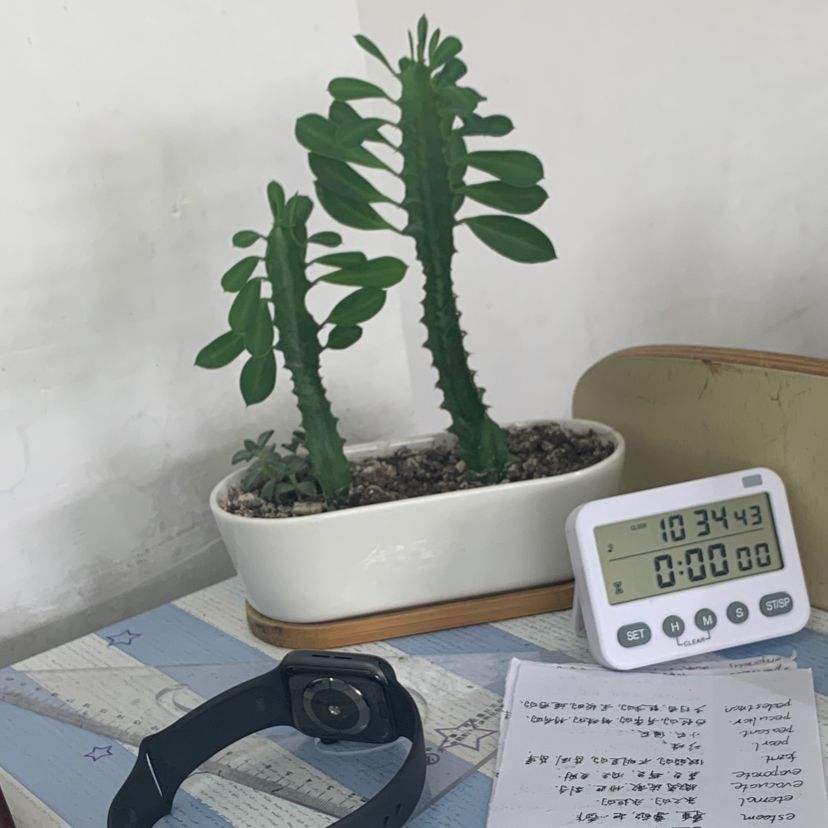 项羽|霸王鞭，威武霸气，一长就是五六米！