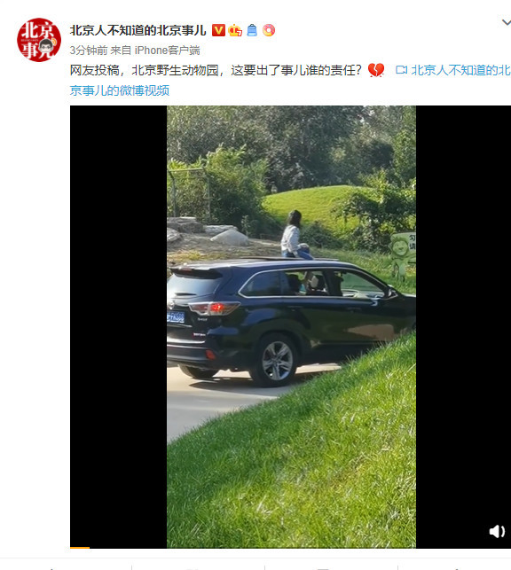 北京野生动物园|游客自驾区内坐车顶？北京野生动物园介入核实