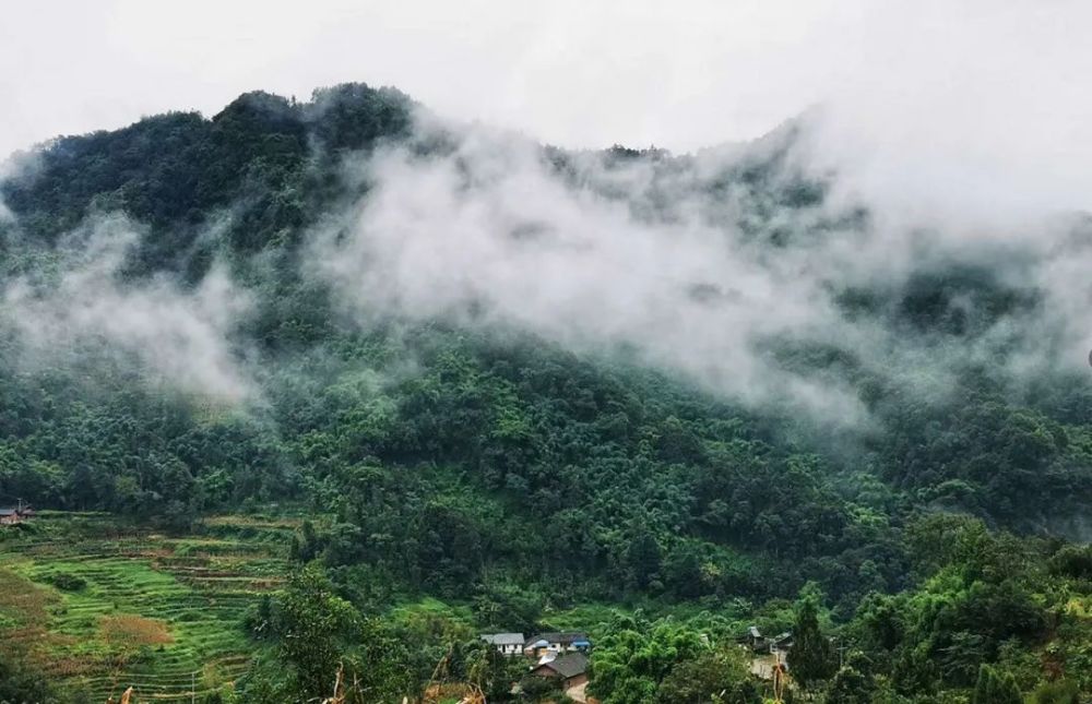 云雾缭绕山间,乐山这个地方宛若仙境!