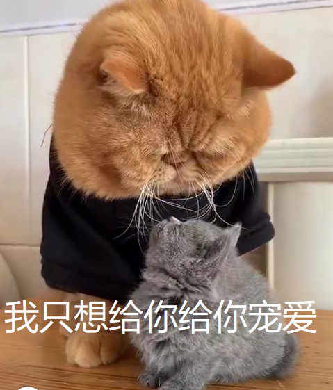 张曼玉|56岁了还照样作天作地？羡慕她这样不管不顾放肆一生