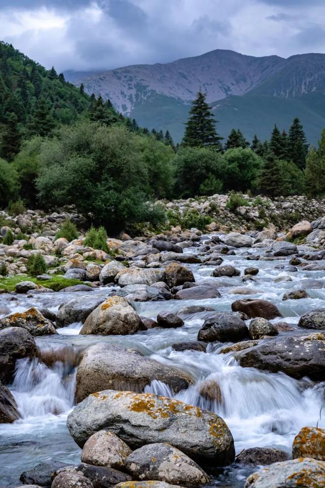 唐志祥 夏日杂木河