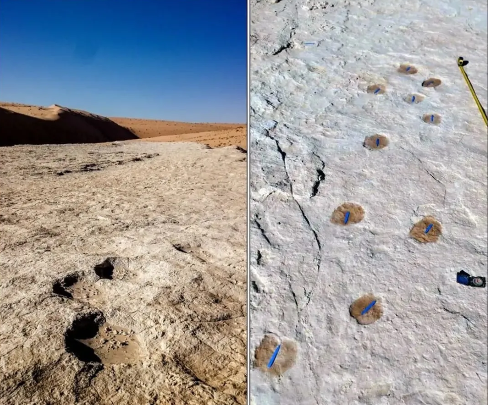 贾西尔·赫尔比什|考古学家在沙特发现距今12万多年前的人类脚印