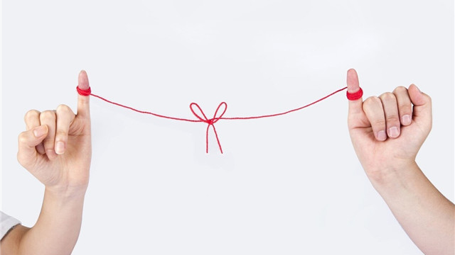 猫头鹰|21个冷知识：很少有人知道，看起来或许有些不合逻辑