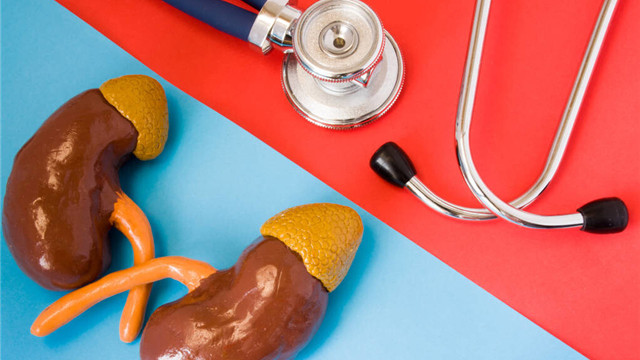 猫头鹰|21个冷知识：很少有人知道，看起来或许有些不合逻辑