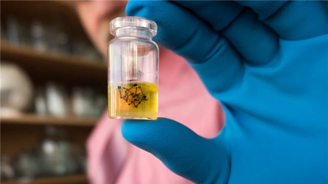 猫头鹰|21个冷知识：很少有人知道，看起来或许有些不合逻辑