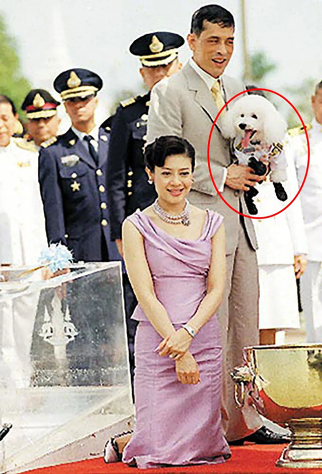 泰王让西拉米跪地上自己手捧小狗爱妃待遇终比不上狗