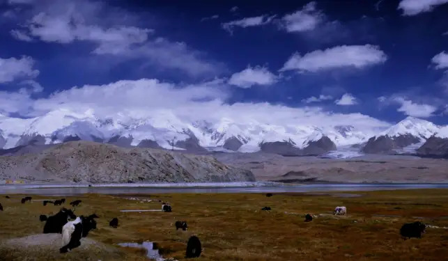 神话故事|神话中的“不周山”真实存在，如今发现珍稀资源，可中国使用百年