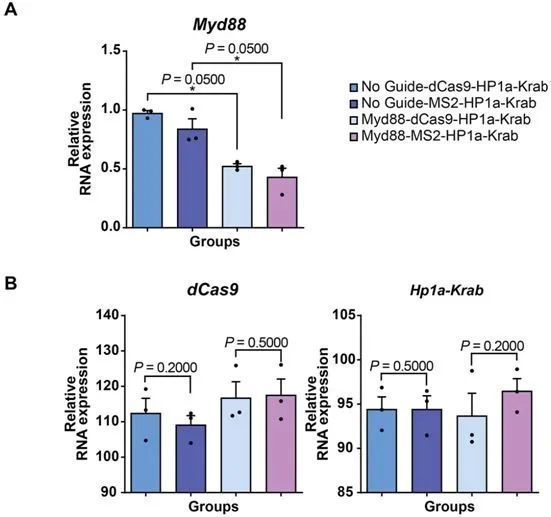 crispr|利用CRISPR对免疫反应进行编辑，使得基因疗法更有效