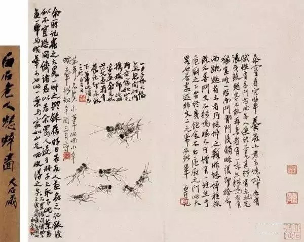 蟋蟀|这种侏罗纪时代就已存在的小虫，凭什么就成了“国虫”