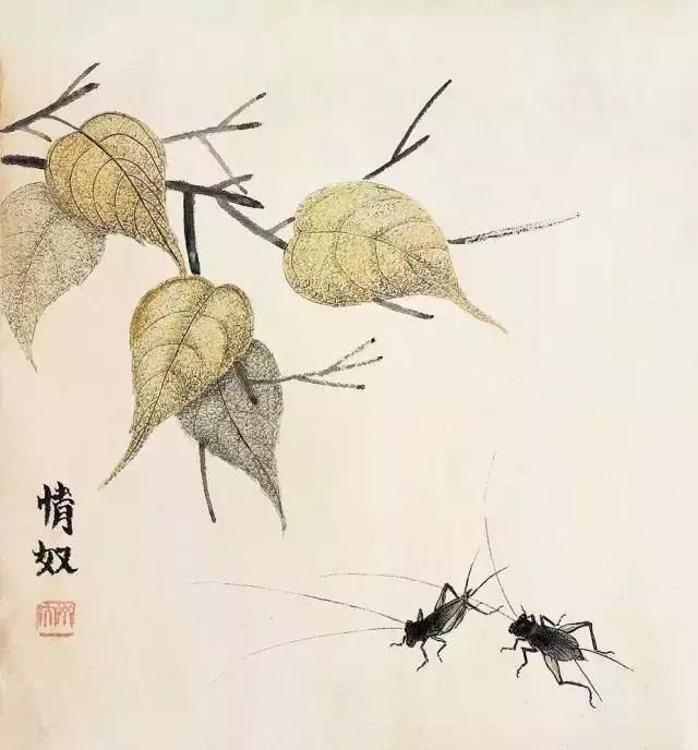 蟋蟀|这种侏罗纪时代就已存在的小虫，凭什么就成了“国虫”