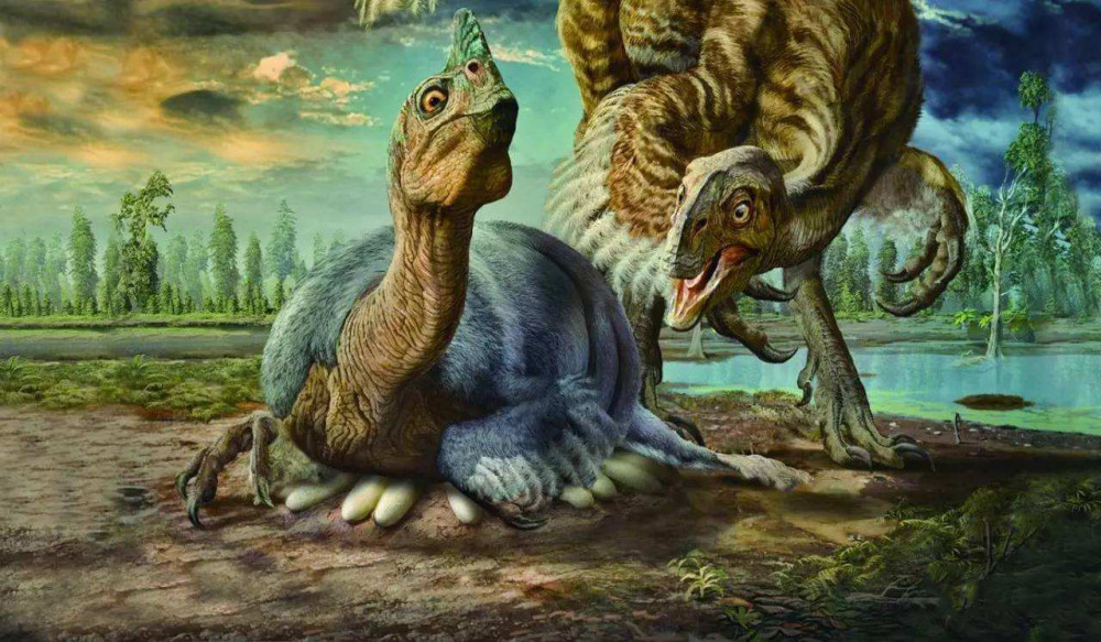 蟋蟀|这种侏罗纪时代就已存在的小虫，凭什么就成了“国虫”