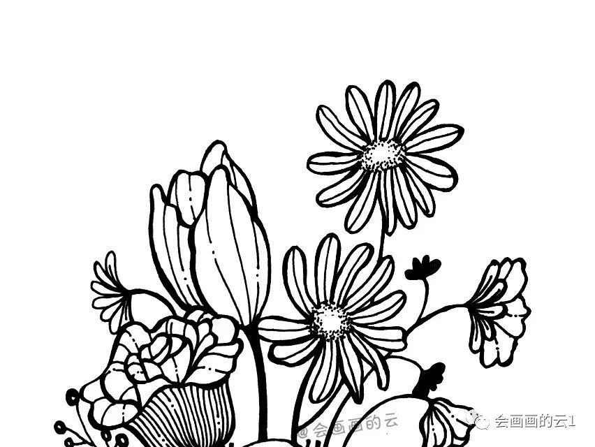 线描画|一支笔就可以画的线描画，一步一步教你画，新手也可以