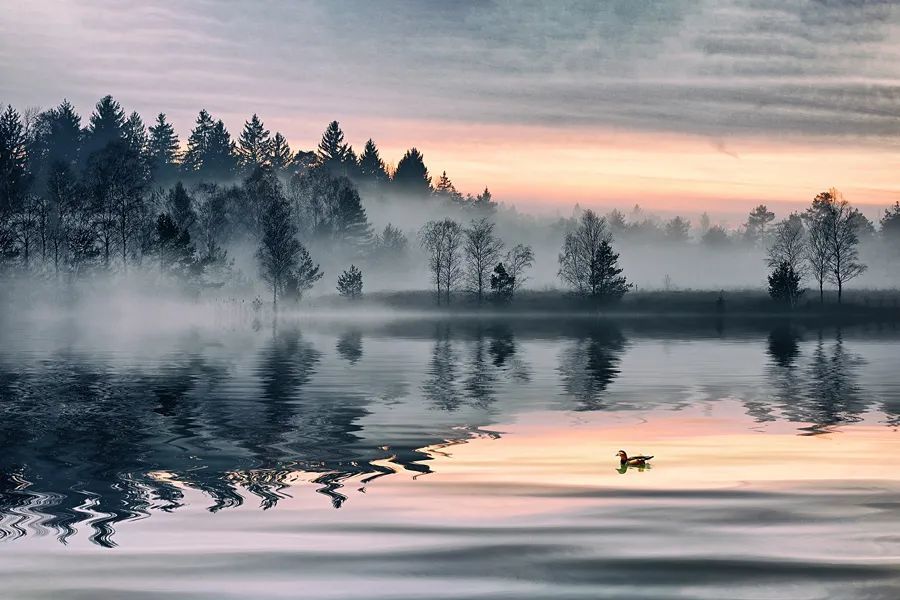 译文|古人10则小笑话，有理，有趣，有深度