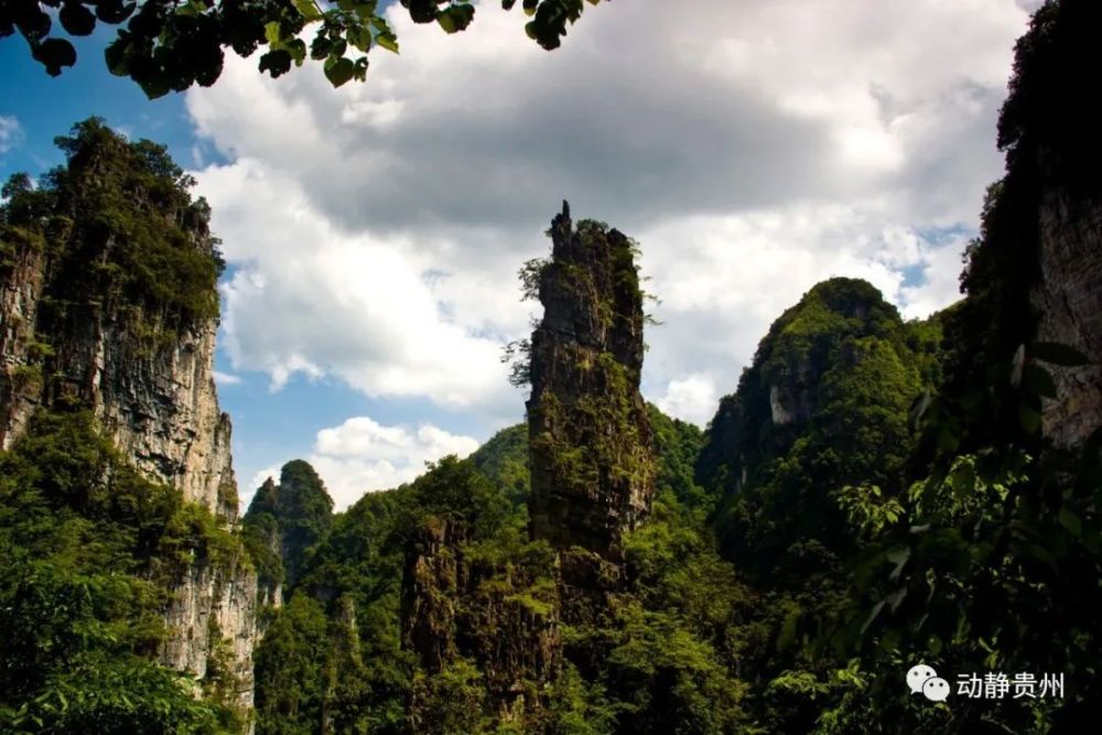 畢節市大方油杉河旅遊景區